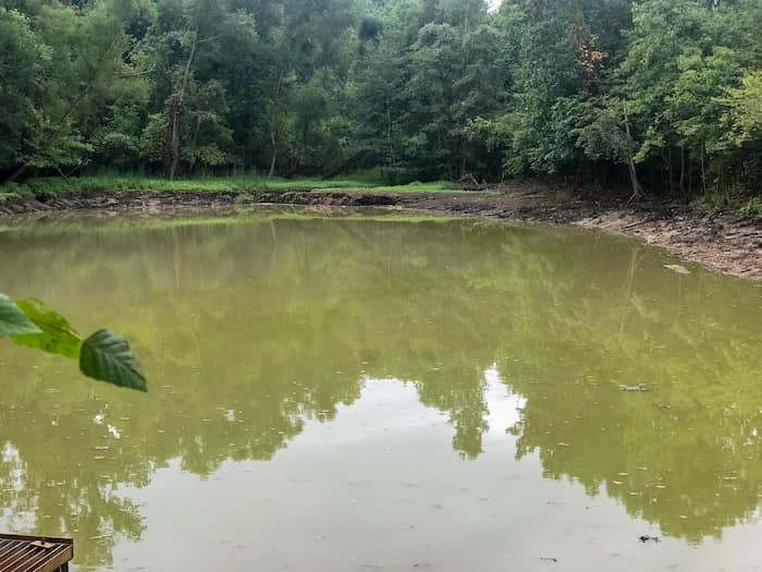 2021 9 1 Pond Filling Fast 8780