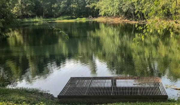 2021 9 10 Pond Gloriously Full 8814
